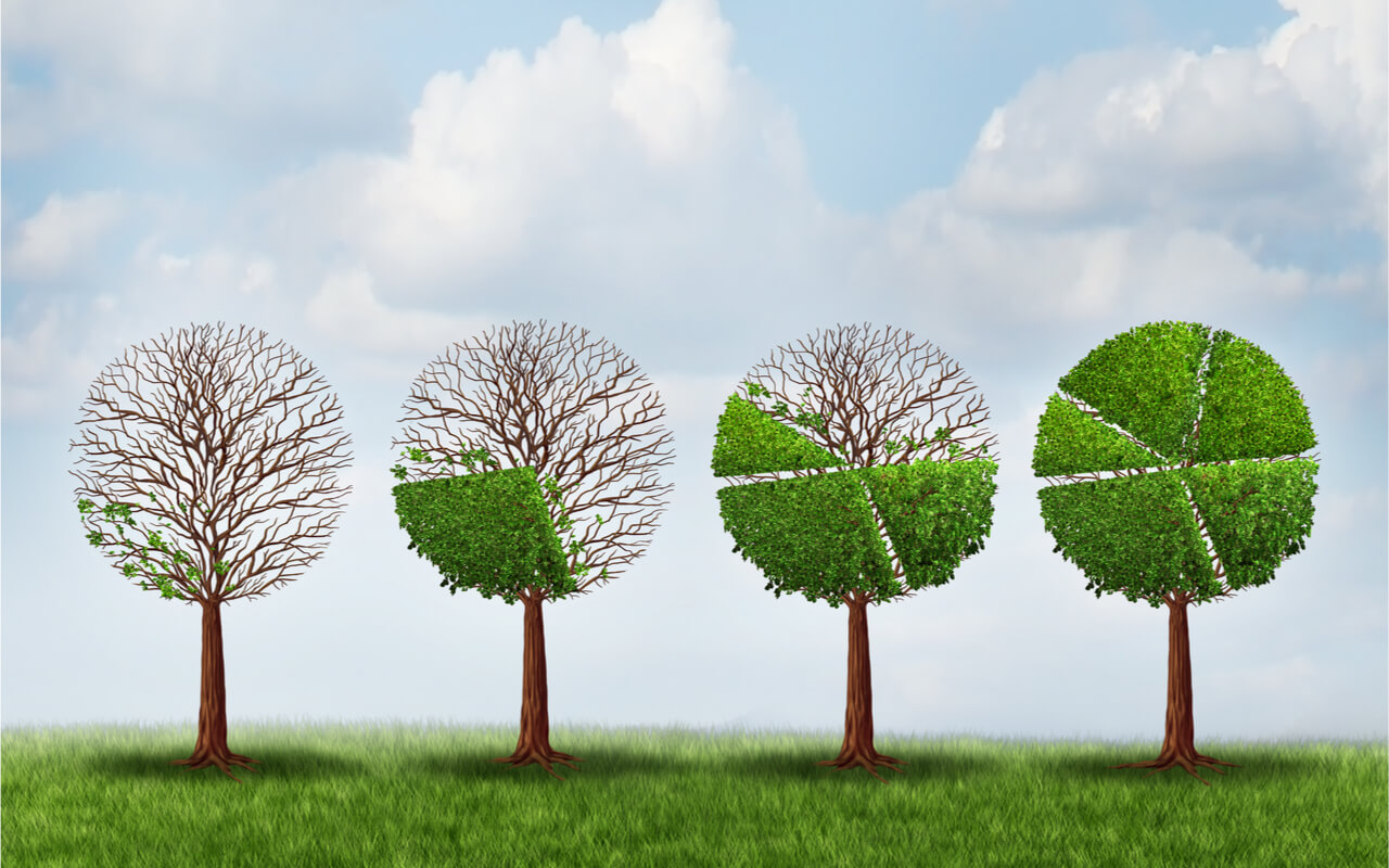growing wealth