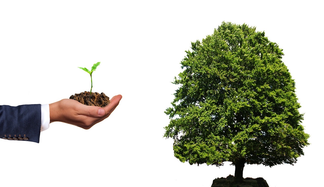 investment basics