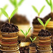 growing wealth
